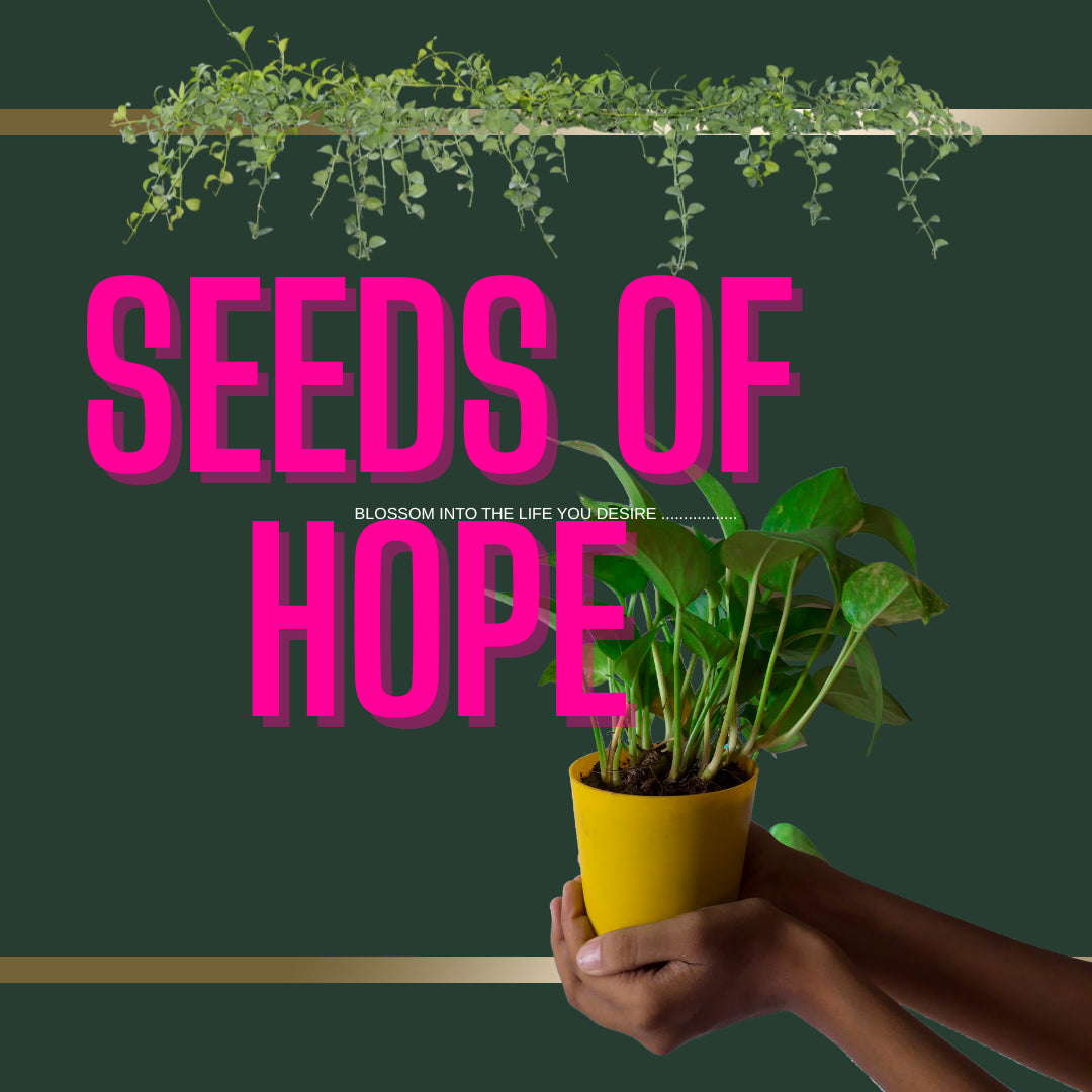 š±Seeds of Hope