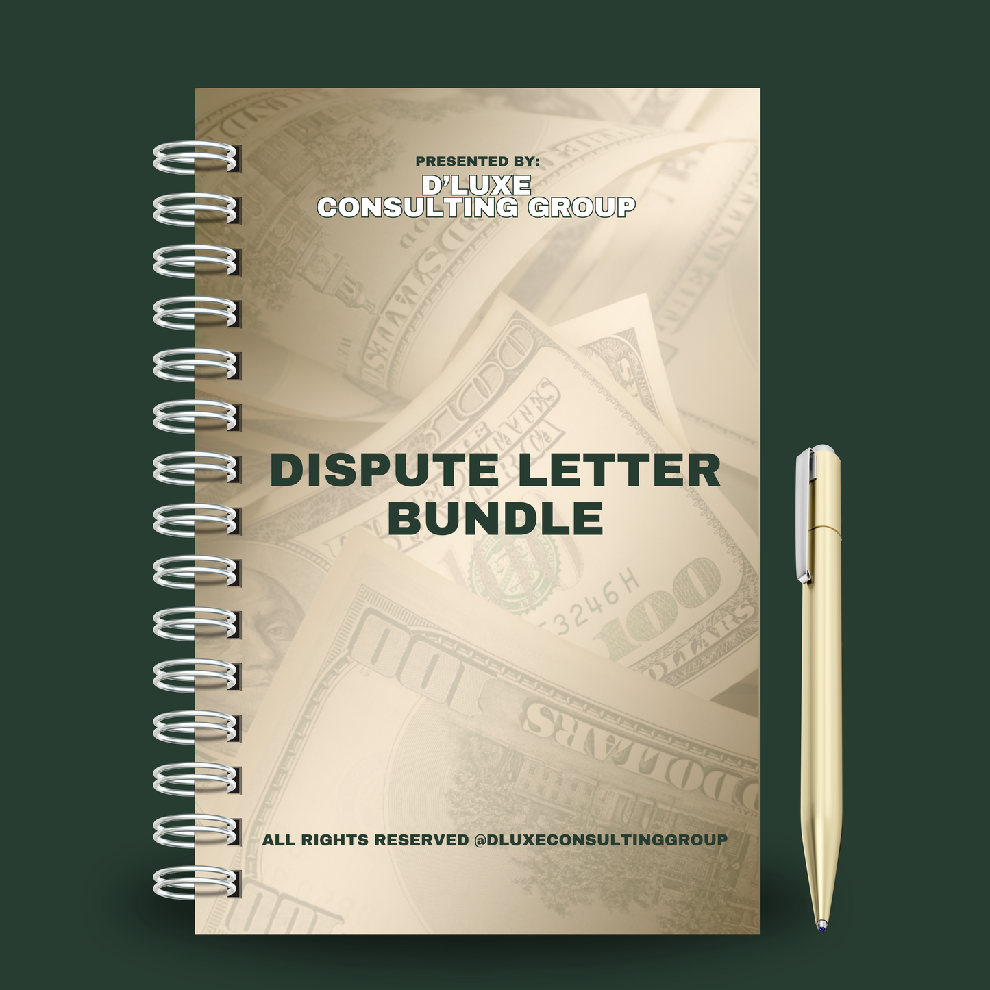 Dispute Letter Bundle